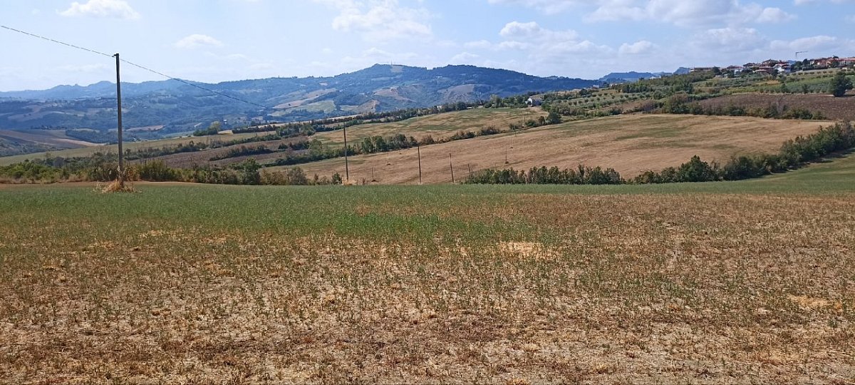 Monte Olivo (251&nbsp;m)
