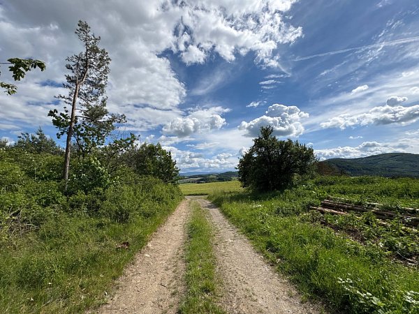 Na Orlíkách
