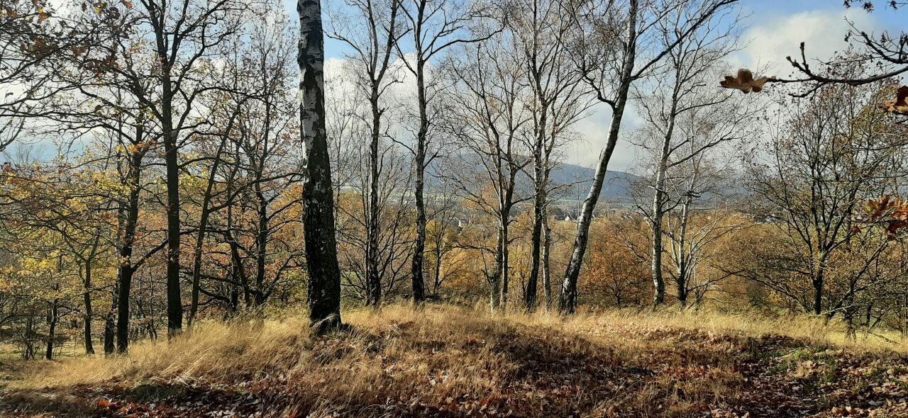 Horka (427&nbsp;m)