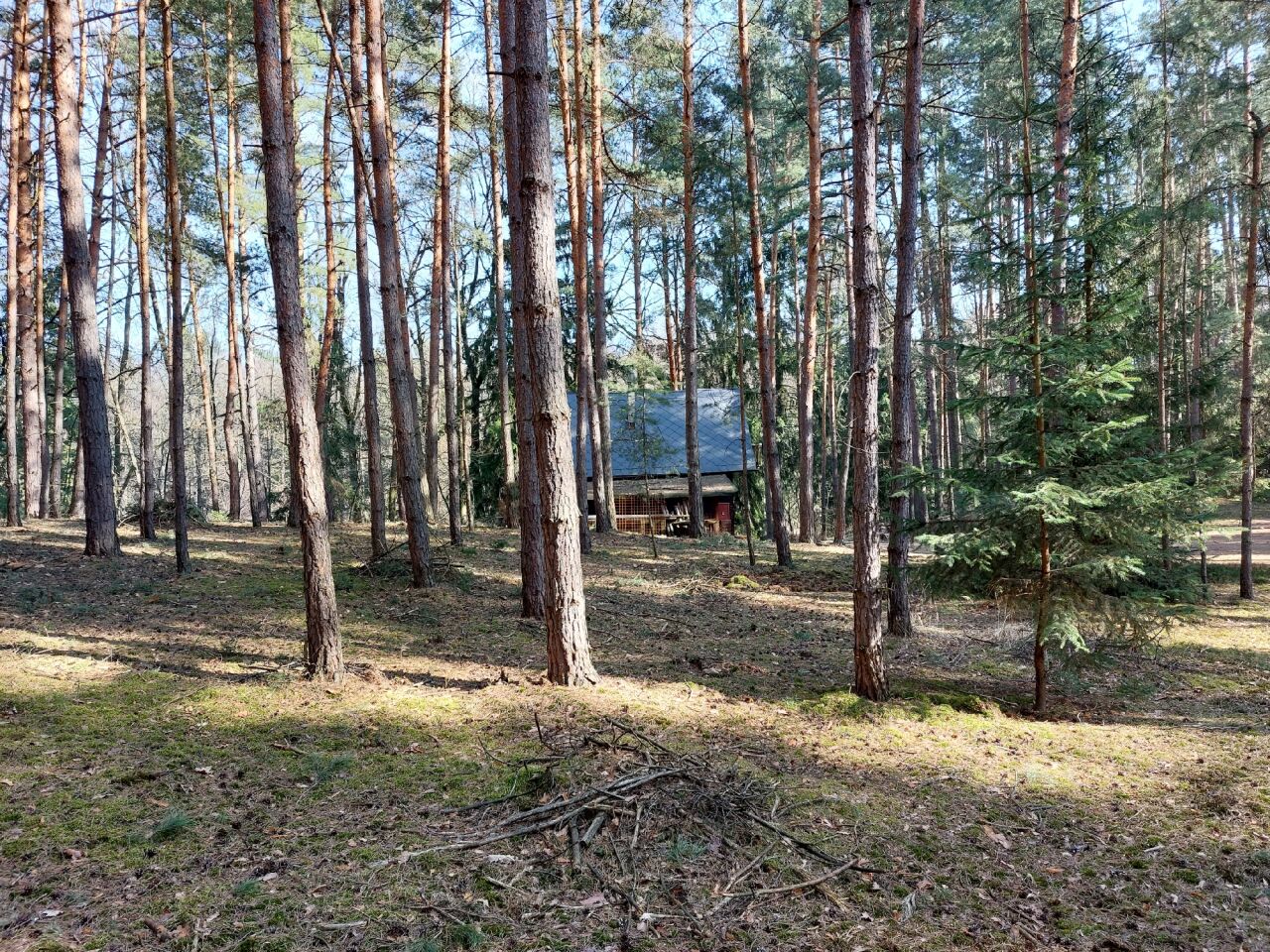 Dorotka (250&nbsp;m)