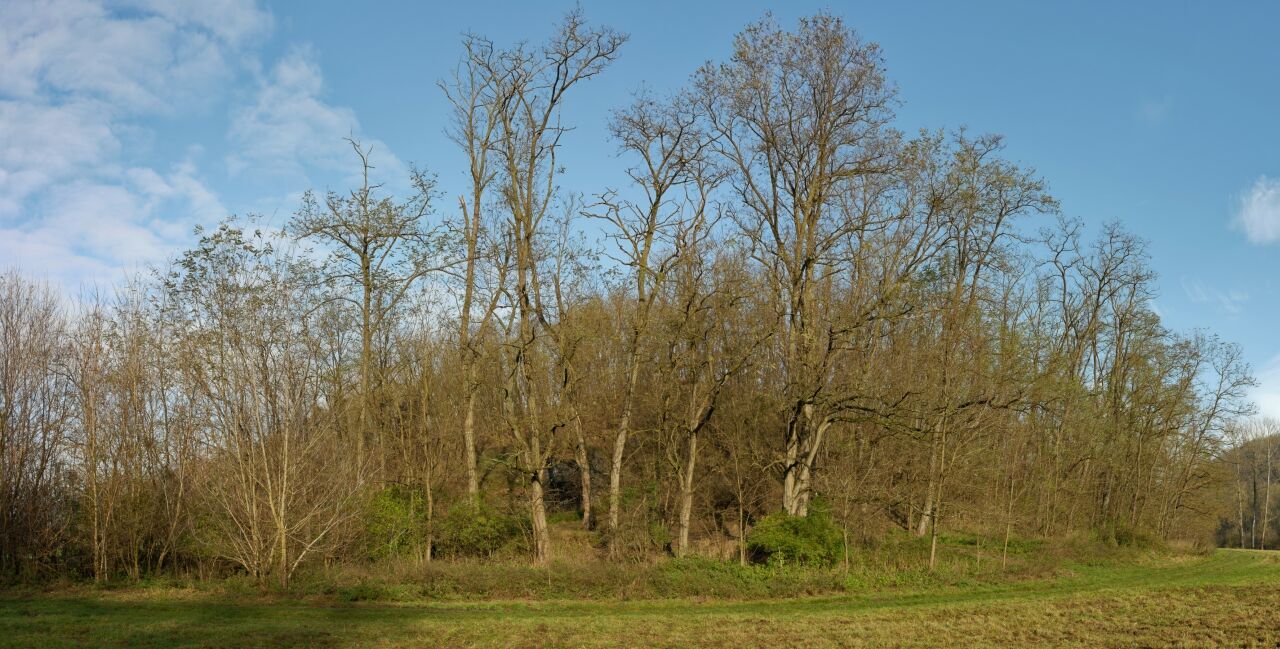 Kumán