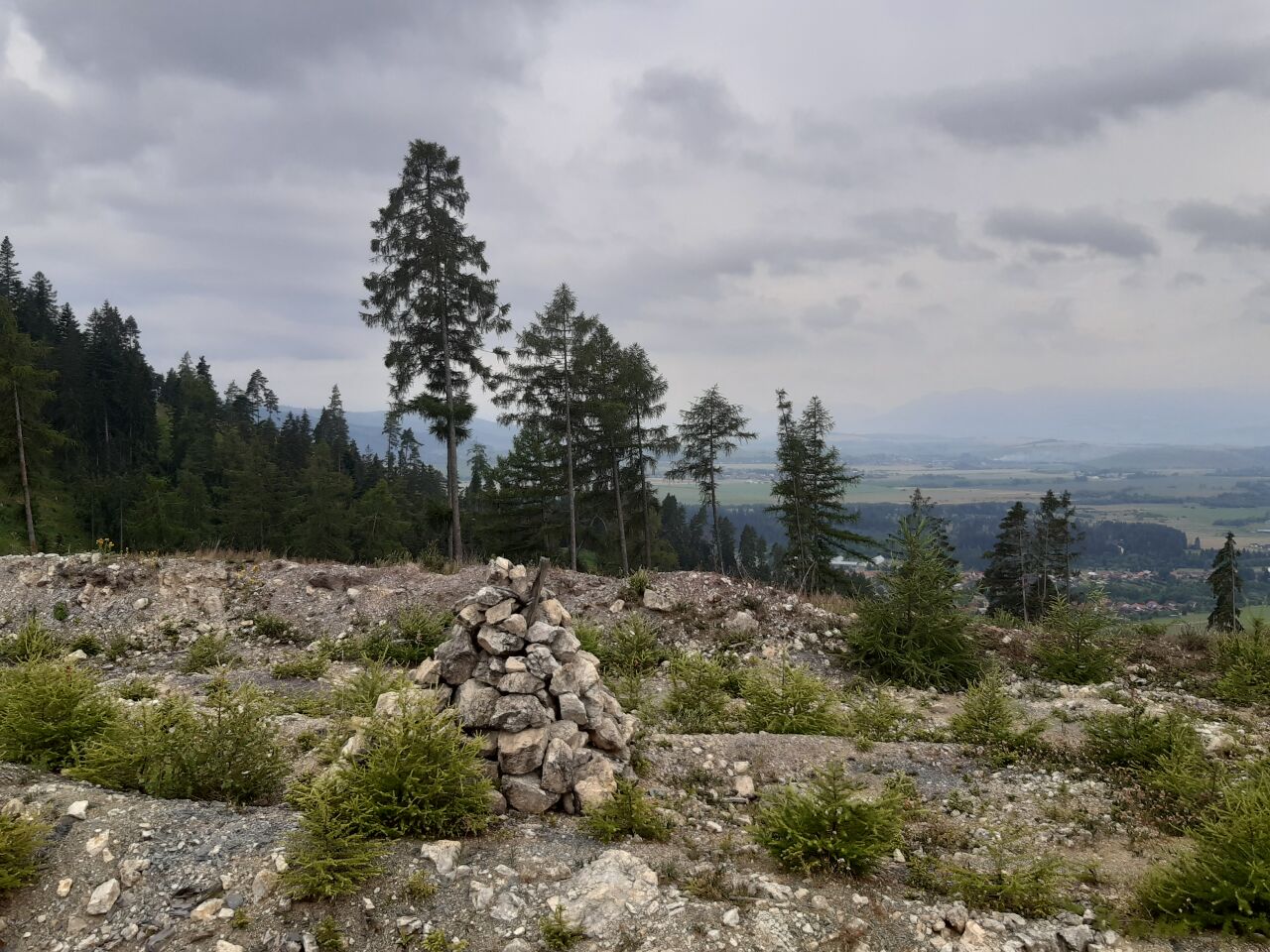 Žiarce