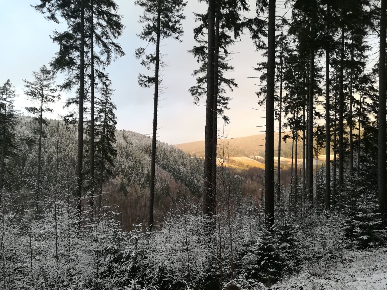 Pražačka