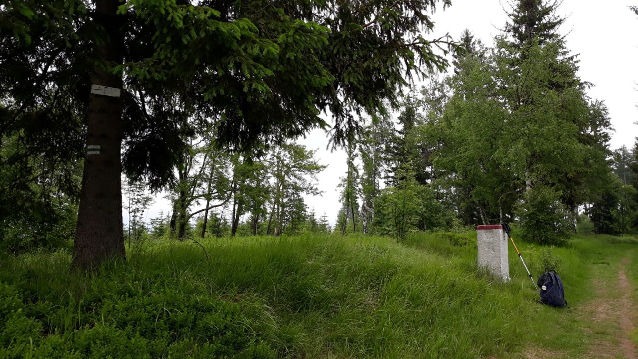 Czarnoch