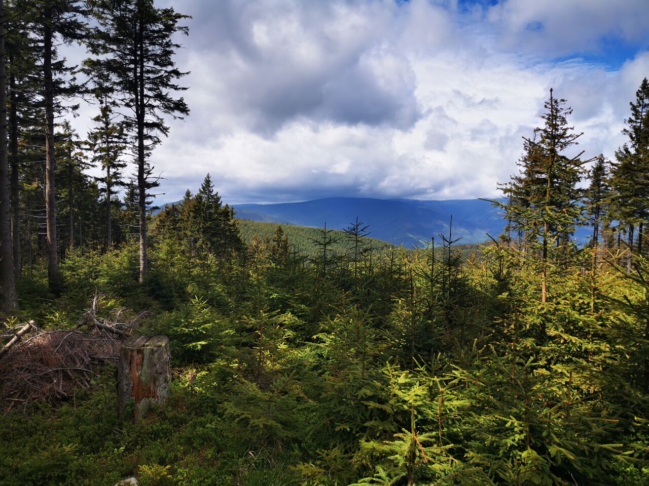 Děrná (1102&nbsp;m)