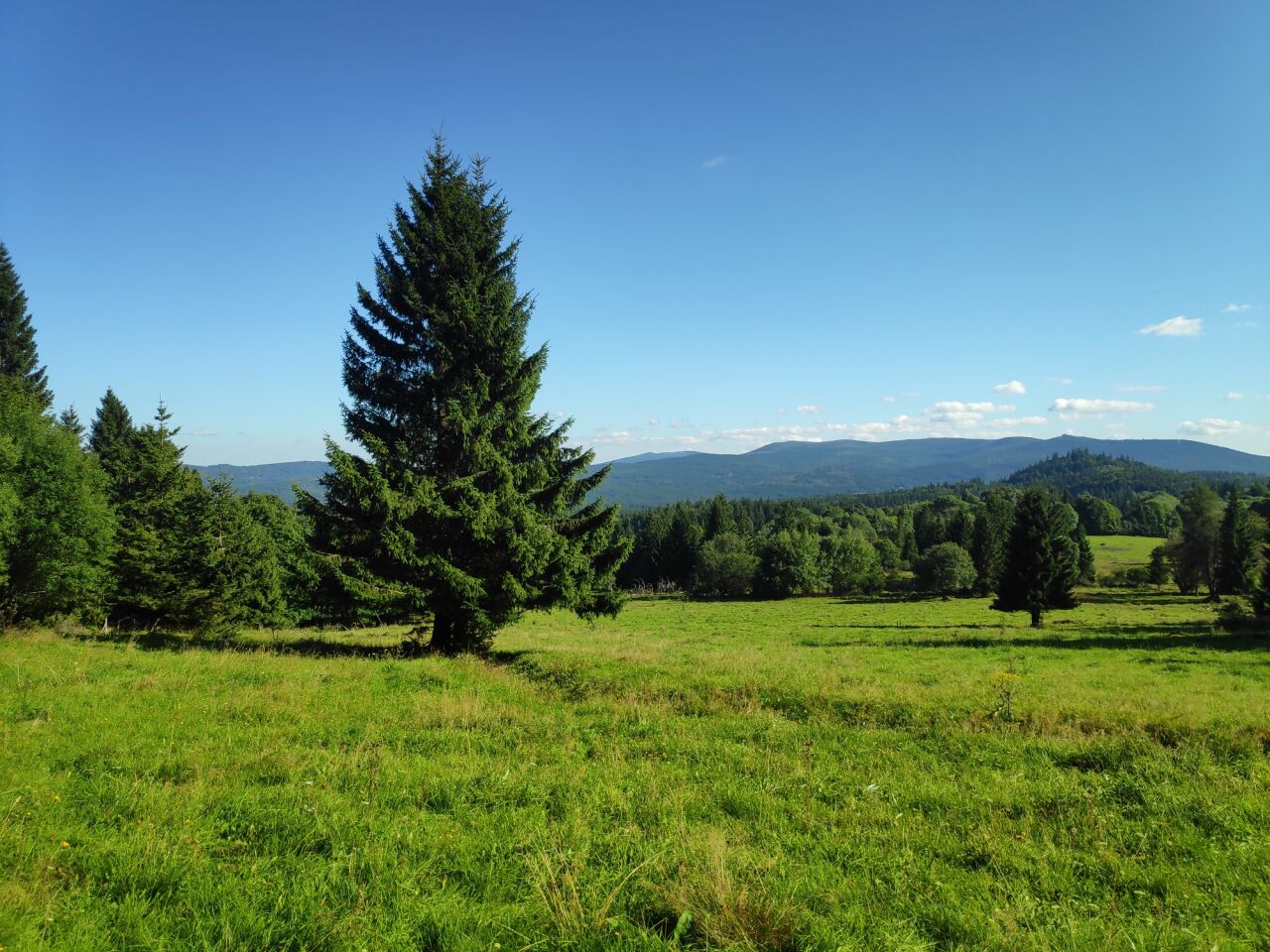 Žlebský vrch