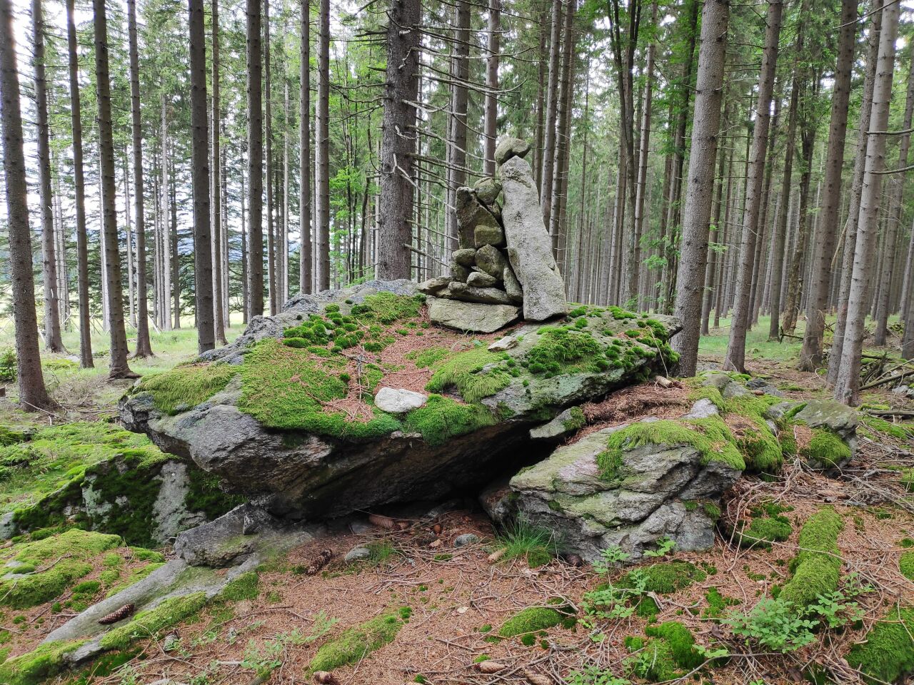 Šerava