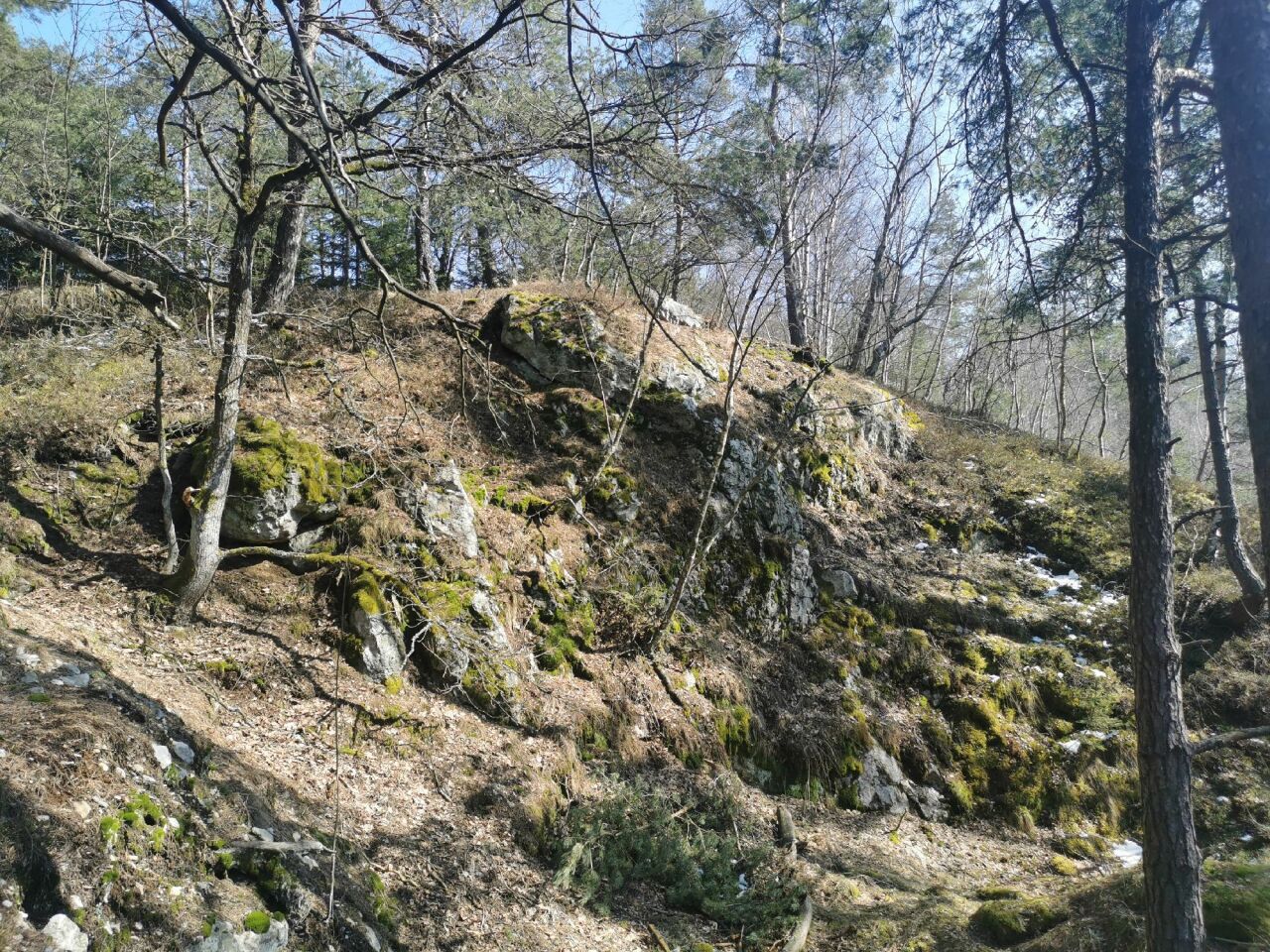 Goethův vrch