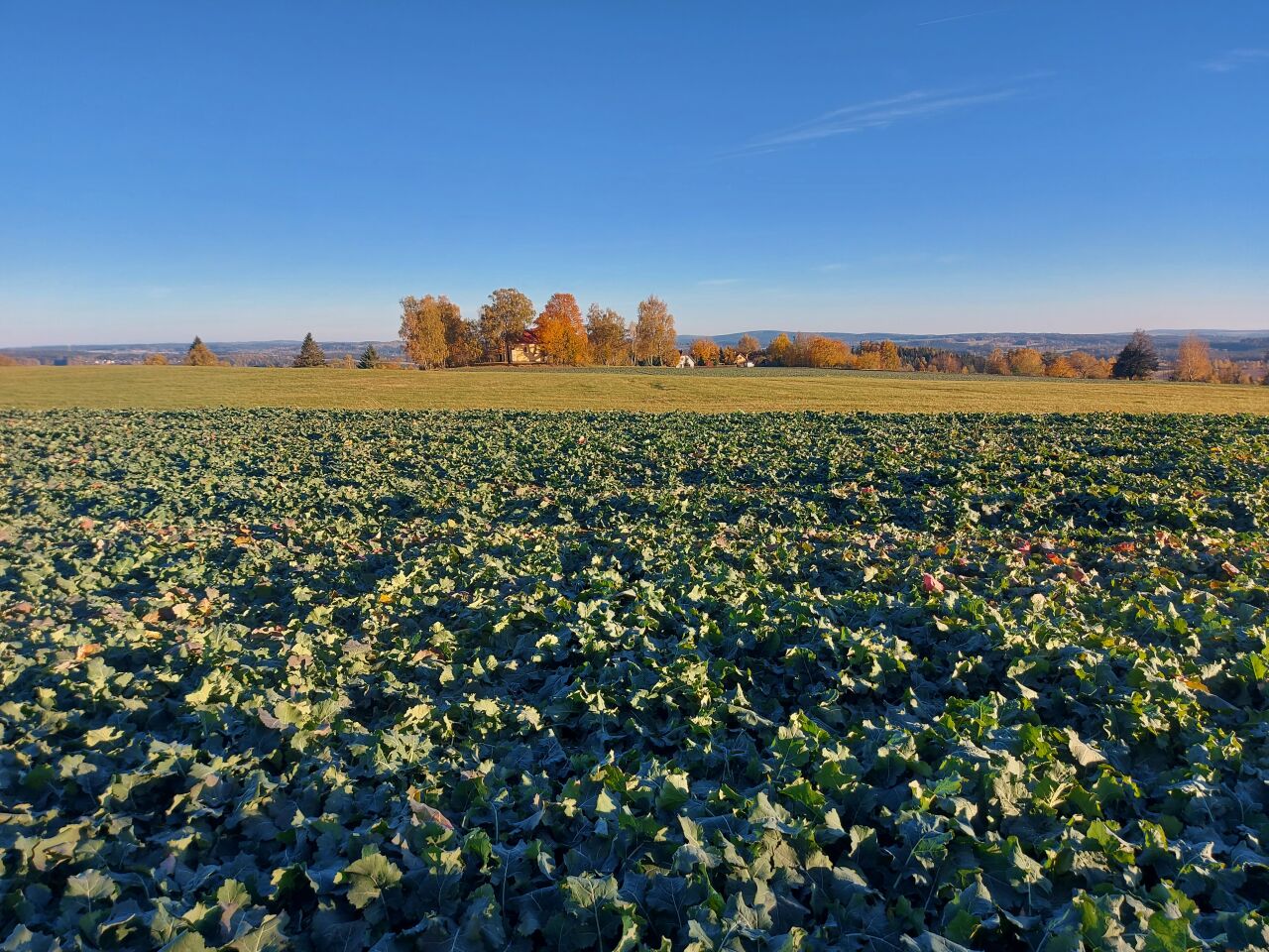 Zuberský kopec