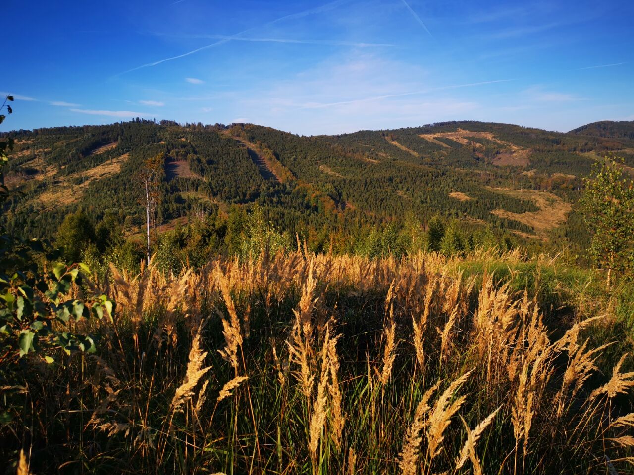 Ostrý vrch