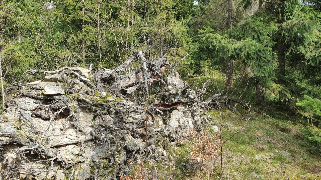 Hůra (622&nbsp;m)