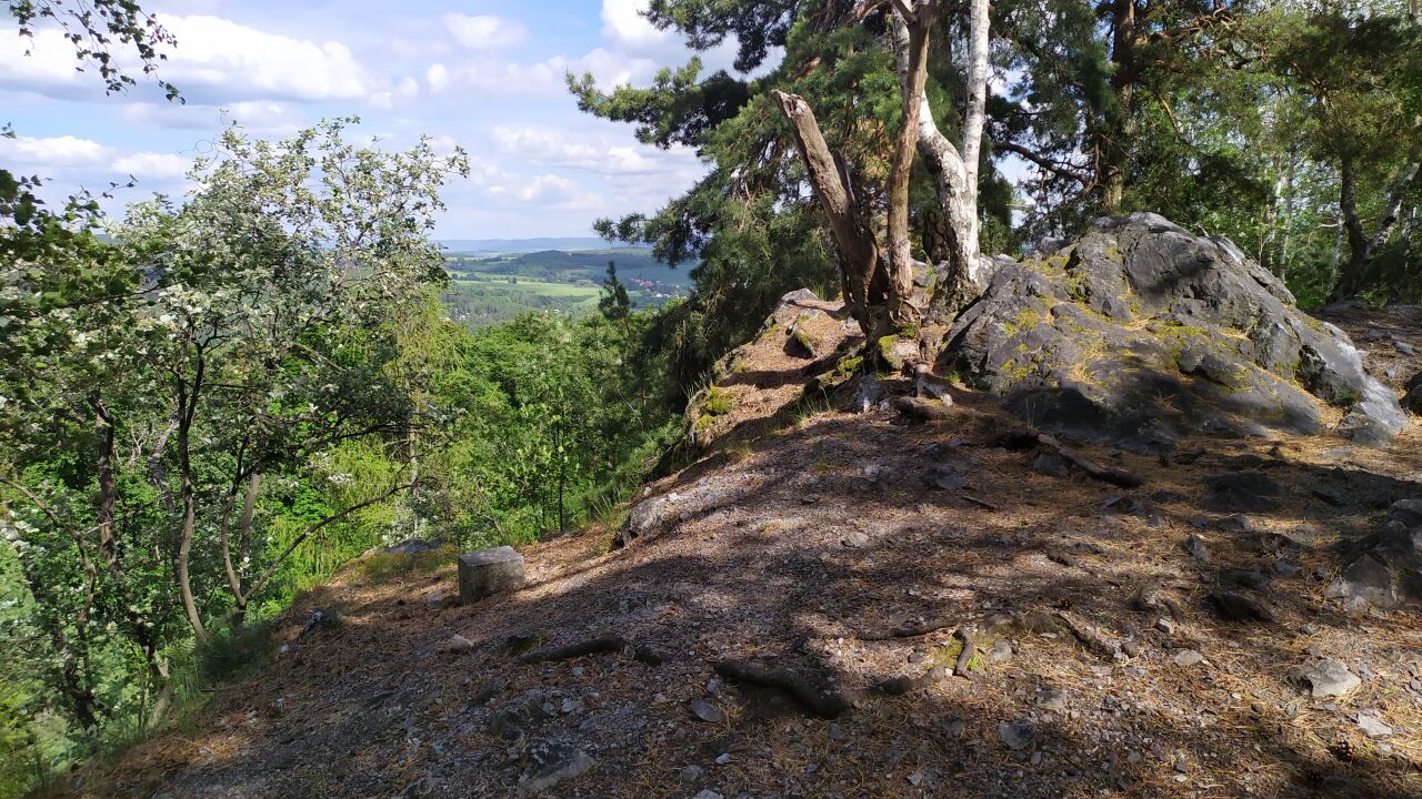 Světovina