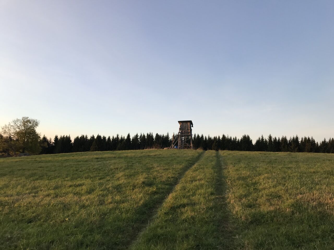 Pastvina